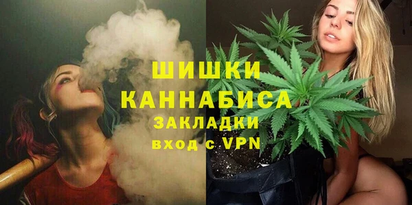 шишки Абинск